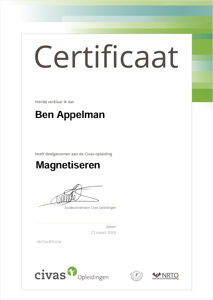 Magnetiseren